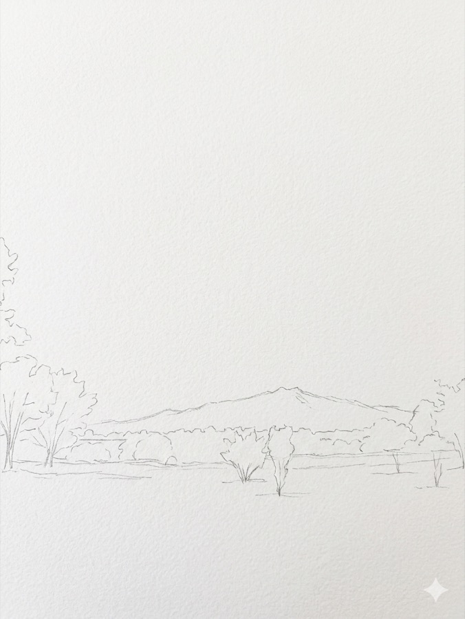 1 · Sketch the shapes